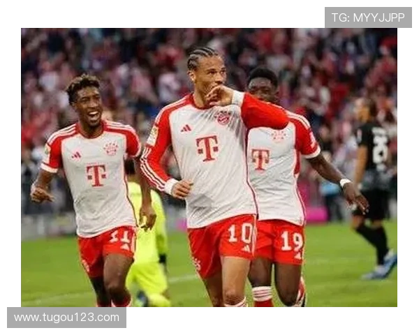 德甲新赛季激情开启 强队争锋战火再燃 球迷期待热血激战