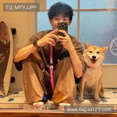 沈秦飚